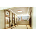 Fashion Design Lift Safe Low Noise Passenger Elevator